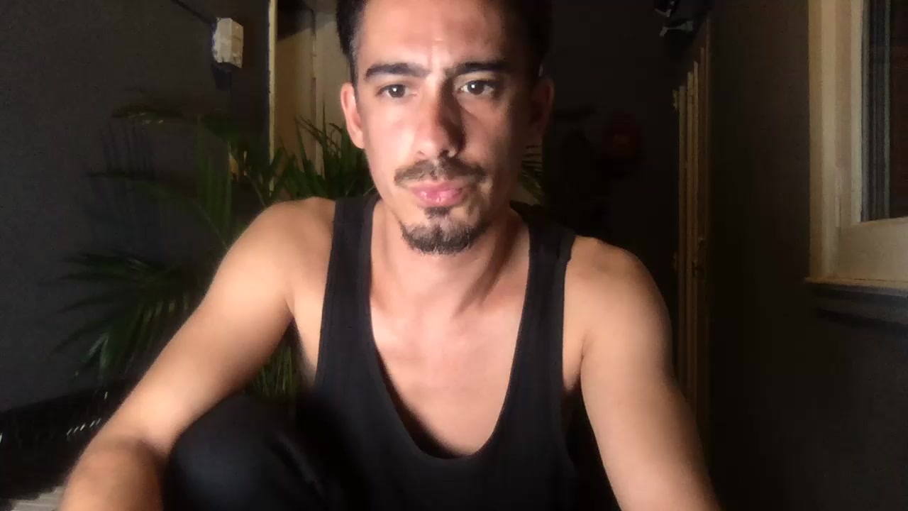 animistando Live Cam Screenshot – 2025-08-26 03:08:34