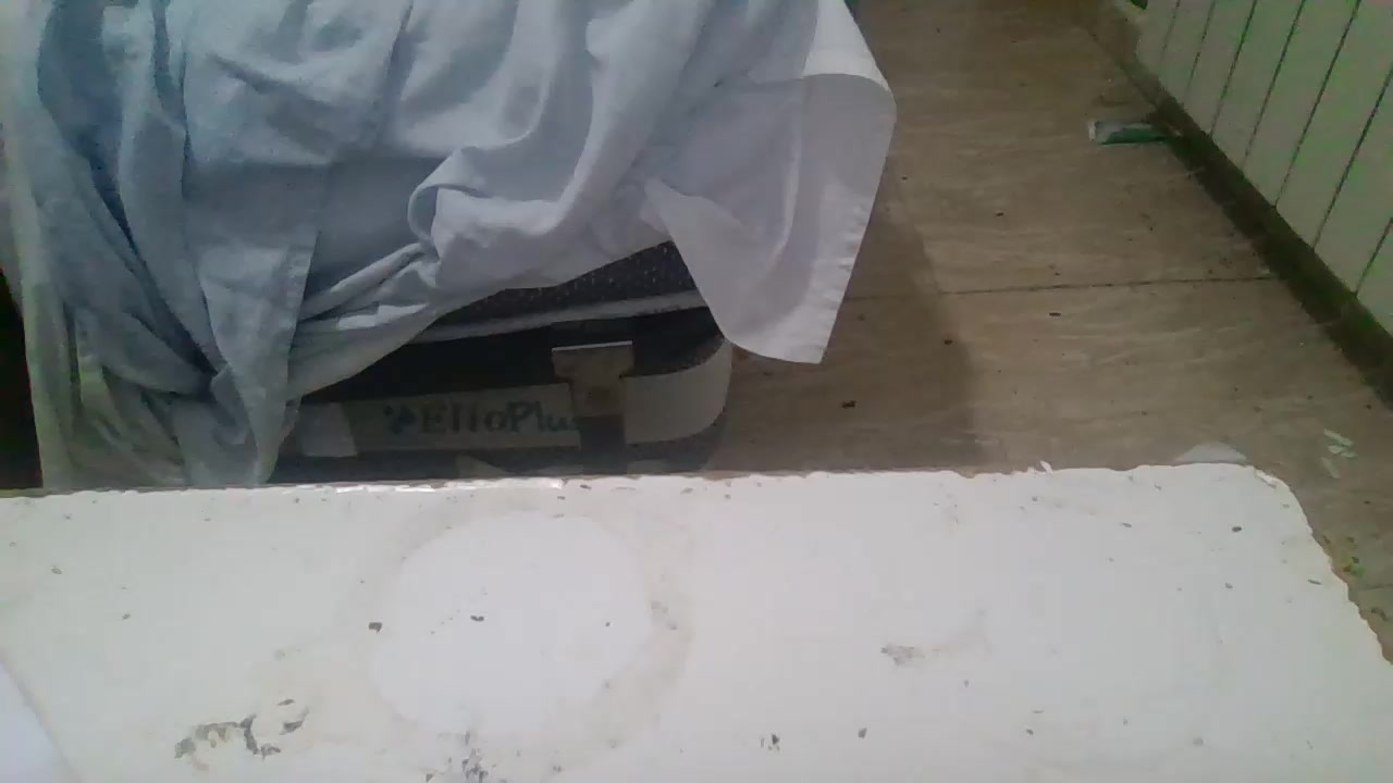 antoniconexion Live Cam Screenshot – 2025-08-05 19:41:20