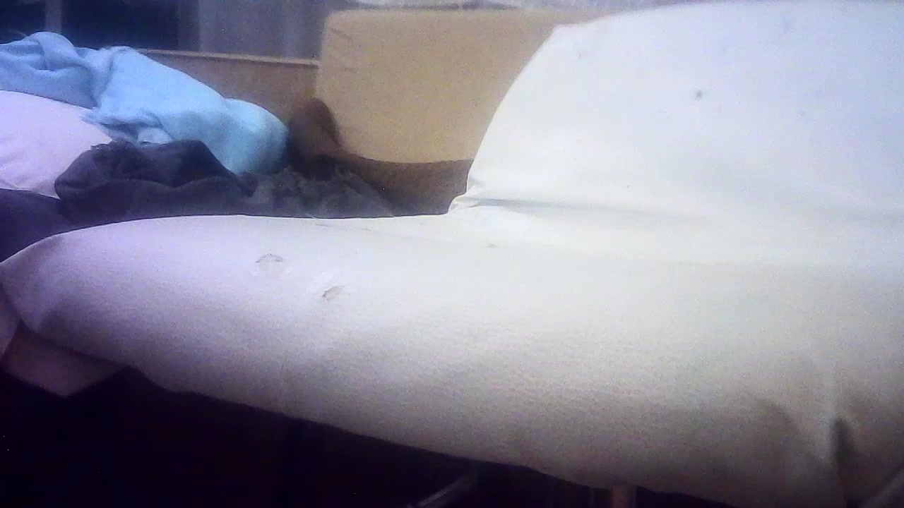 antoniconexion Live Cam Screenshot – 2025-08-05 20:19:03