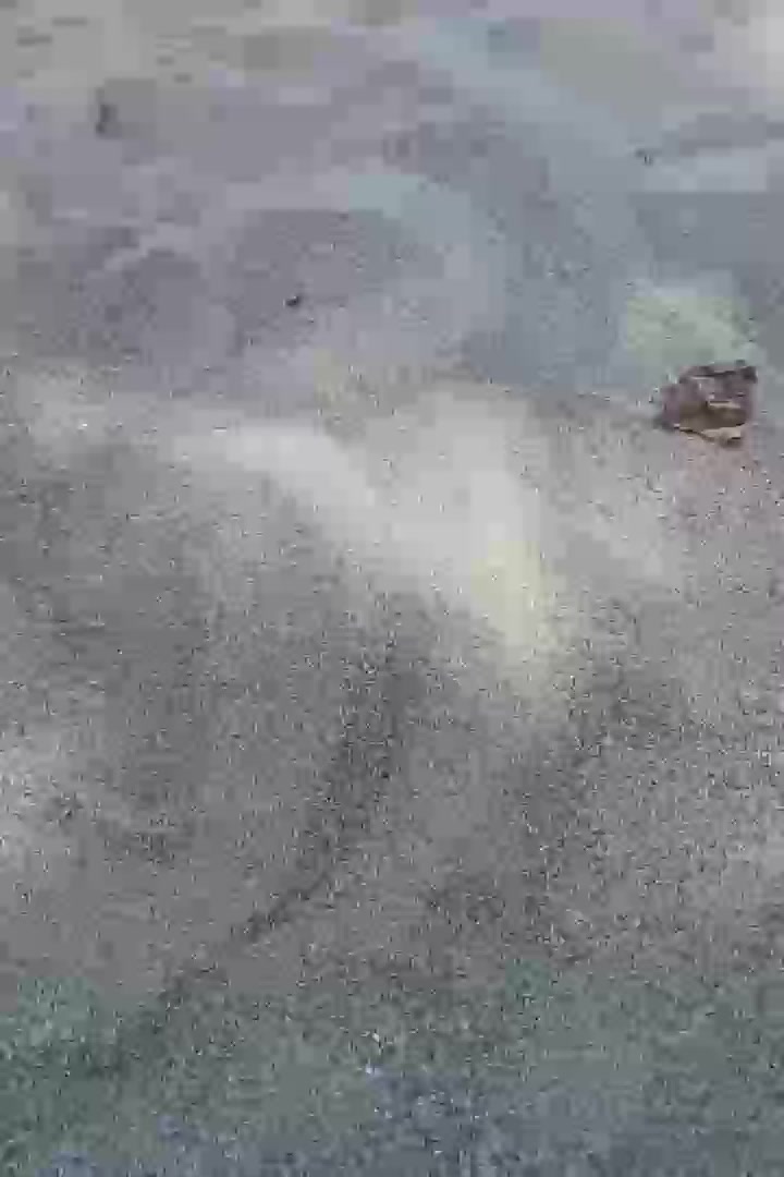 apem22 Live Cam Screenshot – 2025-08-07 13:05:47
