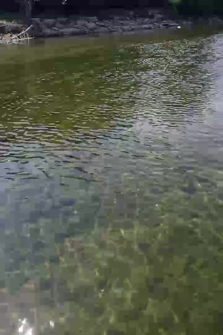 apem22 Live Cam Screenshot – 2025-08-07 13:21:11