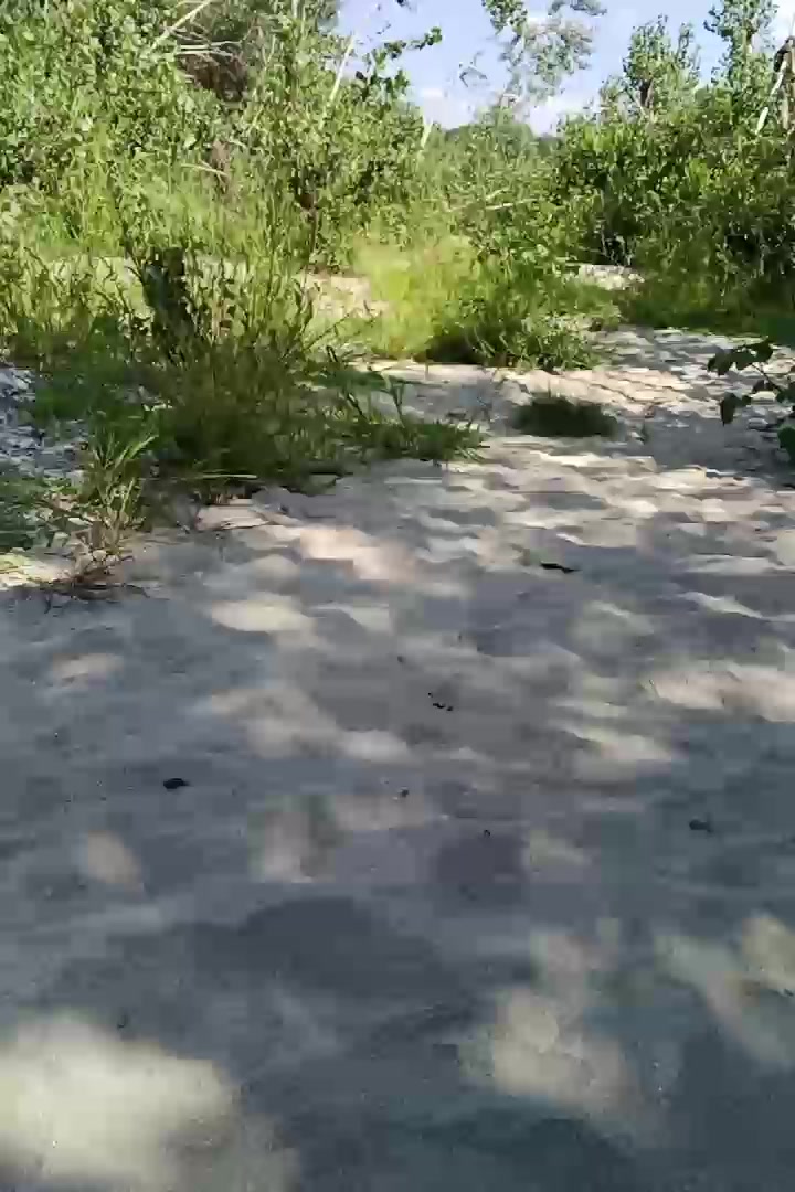apem22 Live Cam Screenshot – 2025-08-07 13:38:33