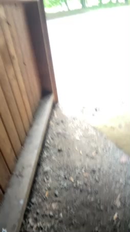 bingeil38 Live Cam Screenshot – 2025-08-30 11:42:26
