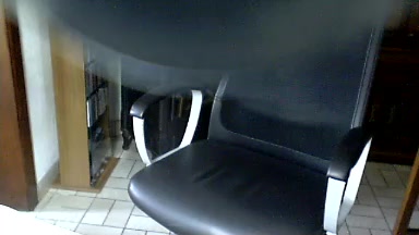 bisonfute Live Cam Screenshot – 2025-08-04 05:50:29