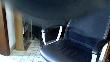 bisonfute Live Cam Screenshot – 2025-08-06 05:58:16