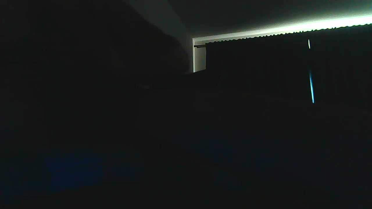bossloko Live Cam Screenshot – 2025-08-10 11:32:30