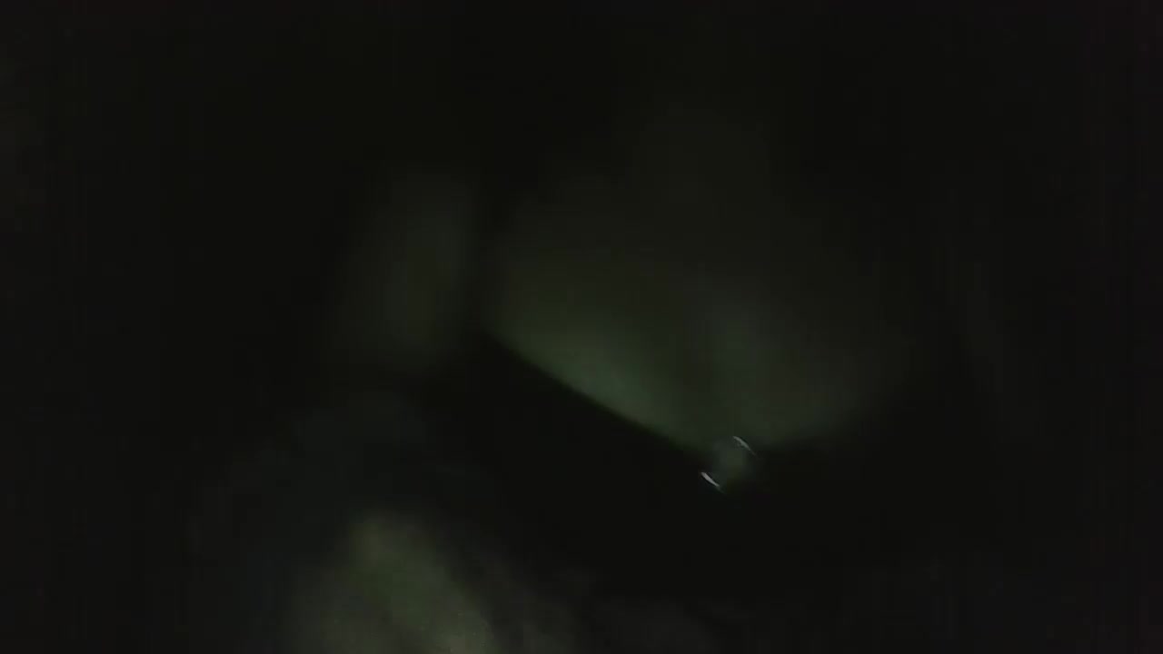 chilenardiente4 Live Cam Screenshot – 2025-08-27 08:10:53