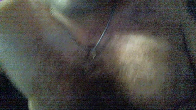 chubbyissy38 Live Cam Screenshot – 2025-08-06 11:17:31