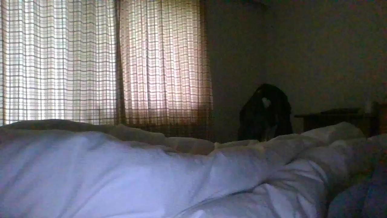 conan20233 Live Cam Screenshot –  