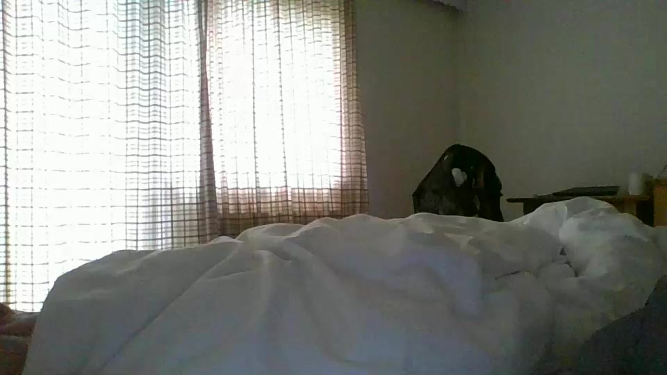 conan20233 Live Cam Screenshot – 2025-08-03 08:43:56