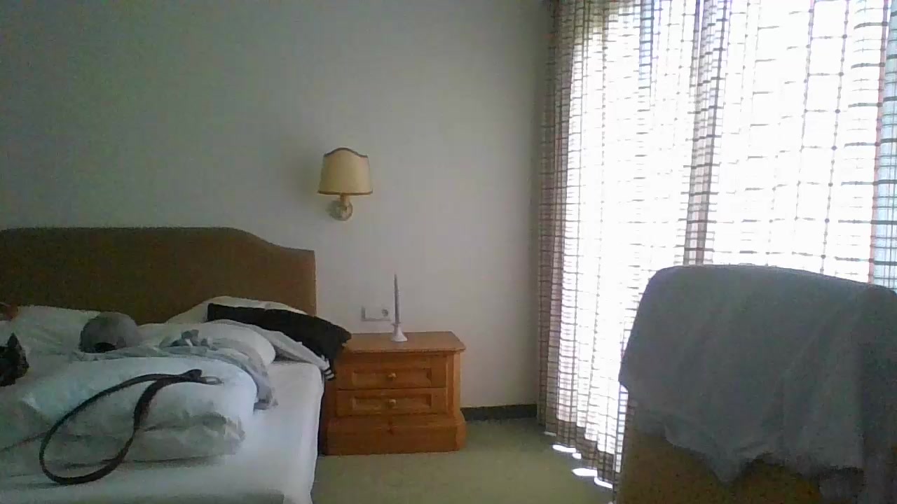conan20233 Live Cam Screenshot – 2025-08-30 11:21:29