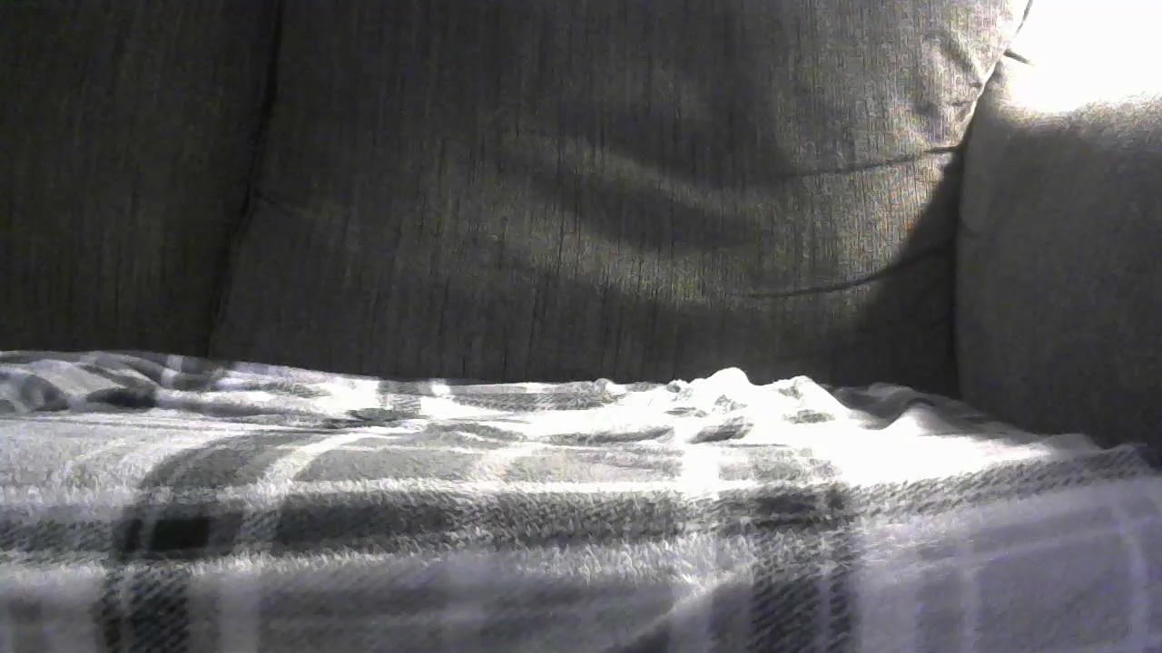 danstevens360 Live Cam Screenshot – 2025-08-15 23:09:40