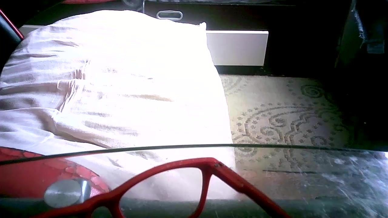 dasilva23 Live Cam Screenshot – 2025-08-04 14:35:58