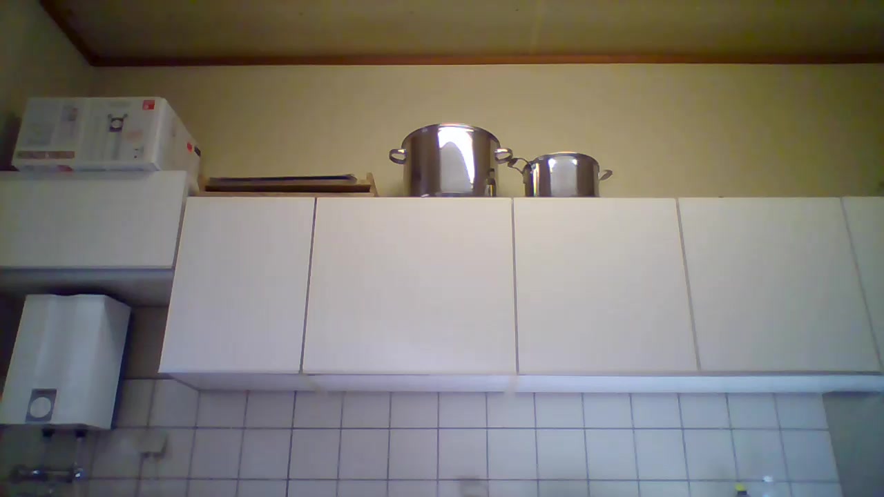 dogscout Live Cam Screenshot – 2025-08-30 07:02:18