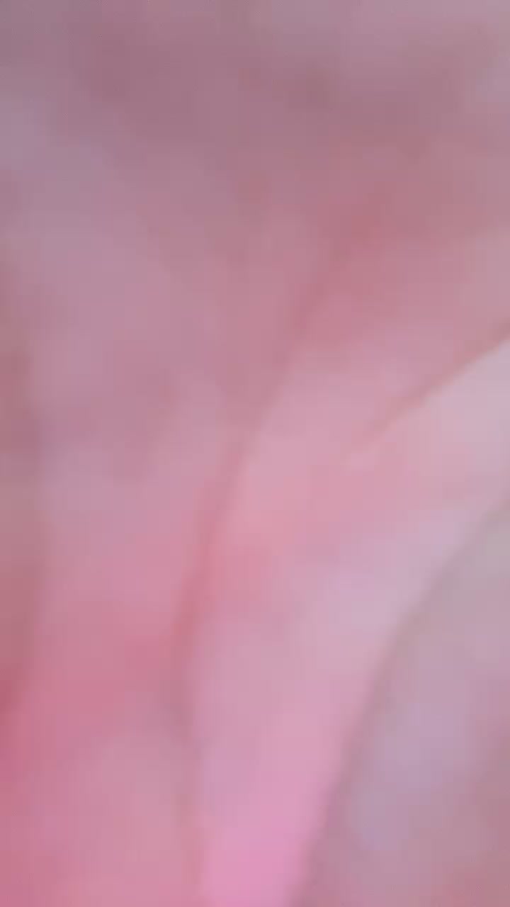 dolceprincesaa Live Cam Screenshot – 2025-08-05 17:27:28
