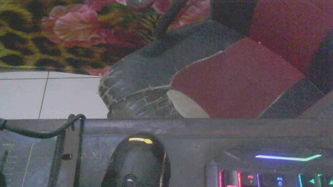dotadopara Live Cam Screenshot – 2025-08-06 04:34:13