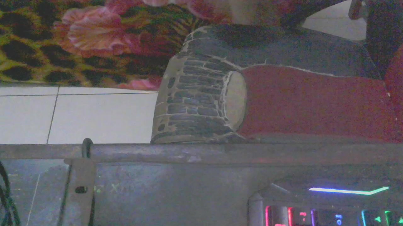 dotadopara Live Cam Screenshot – 2025-08-06 04:50:03