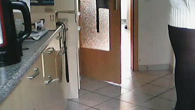 dwdaisysh Live Cam Screenshot – 2025-08-08 16:42:15