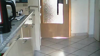 dwdaisysh Live Cam Screenshot – 2025-08-08 16:59:13