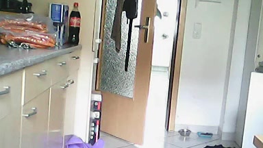 dwdaisysh Live Cam Screenshot – 2025-09-05 15:12:37