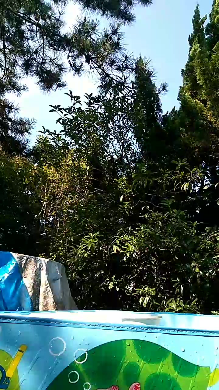 eibo20 Live Cam Screenshot – 2025-08-04 06:14:48