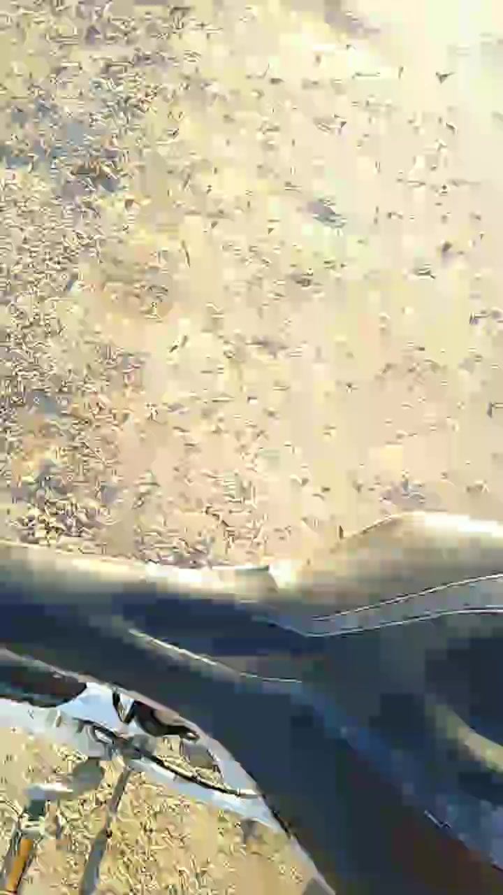 fefe1984ba Live Cam Screenshot – 2025-08-08 20:34:43