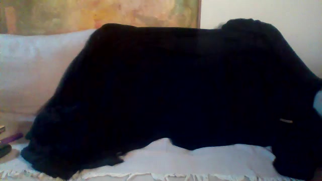 flexsp25 Live Cam Screenshot – 2025-08-10 11:31:53