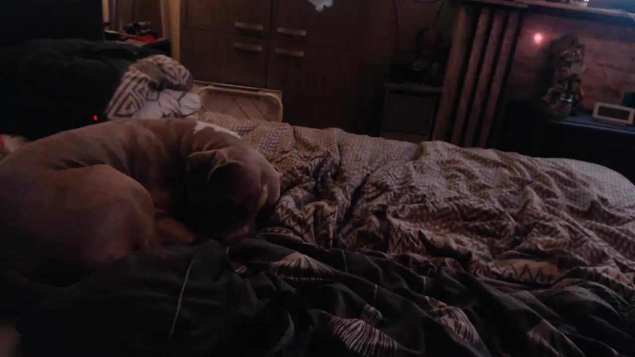 fuckme42420 Live Cam Screenshot – 2025-08-23 00:12:59