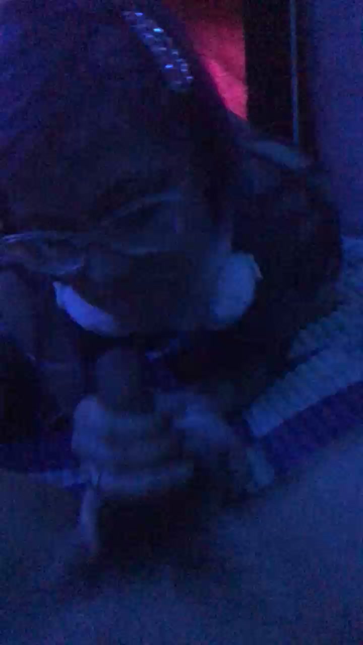 gabyara2 Live Cam Screenshot – 2025-08-04 00:39:39