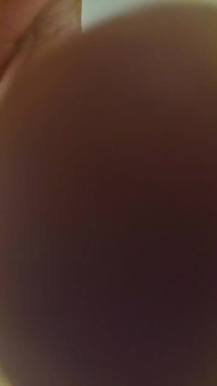 grizzly41 Live Cam Screenshot – 2025-08-29 04:12:15