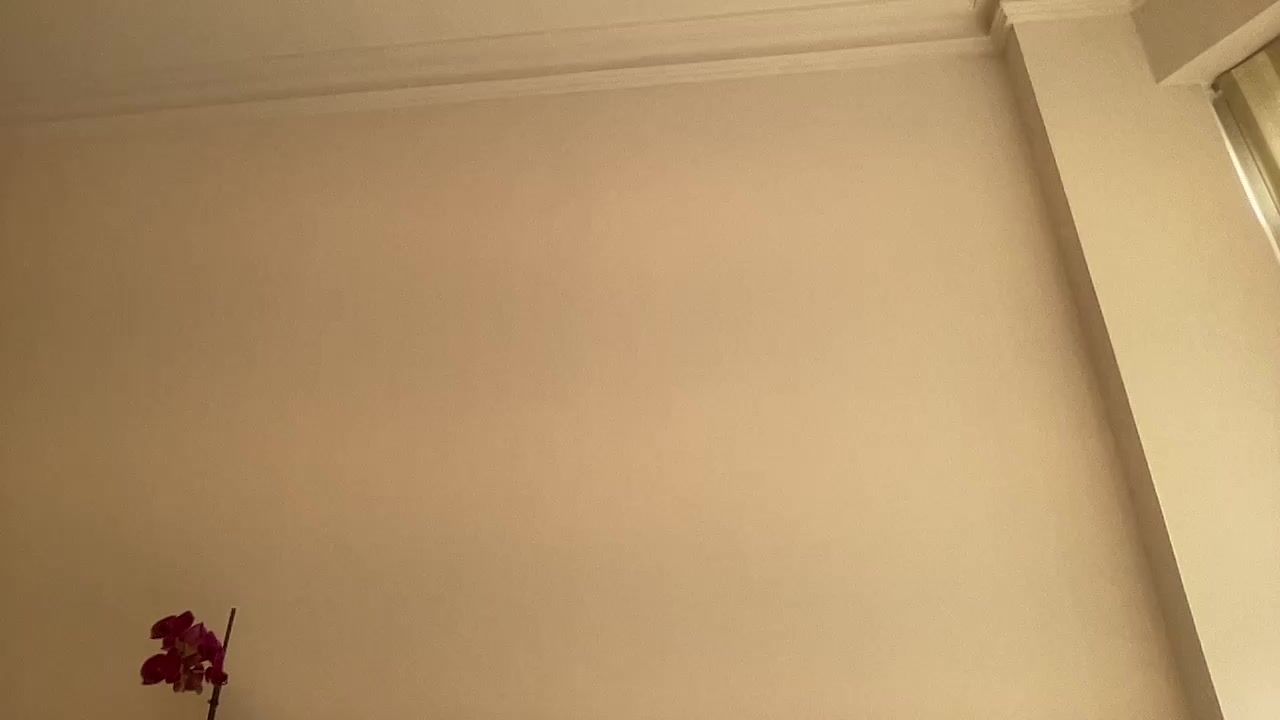 harryslutwhore Live Cam Screenshot – 2025-08-14 11:26:18