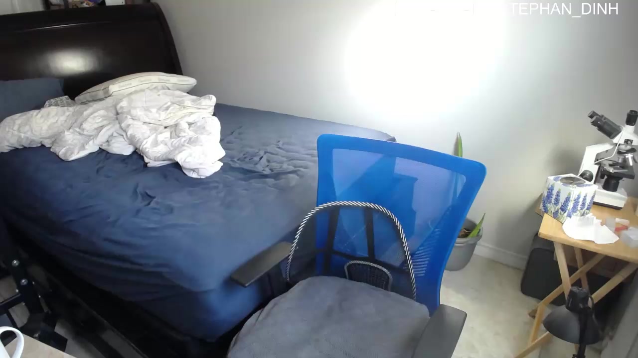 hoestasia Live Cam Screenshot – 2025-08-07 13:24:31