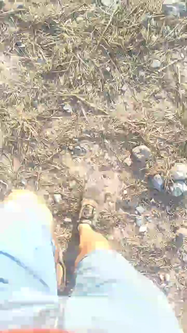 jodido21 Live Cam Screenshot – 2025-08-08 06:42:14