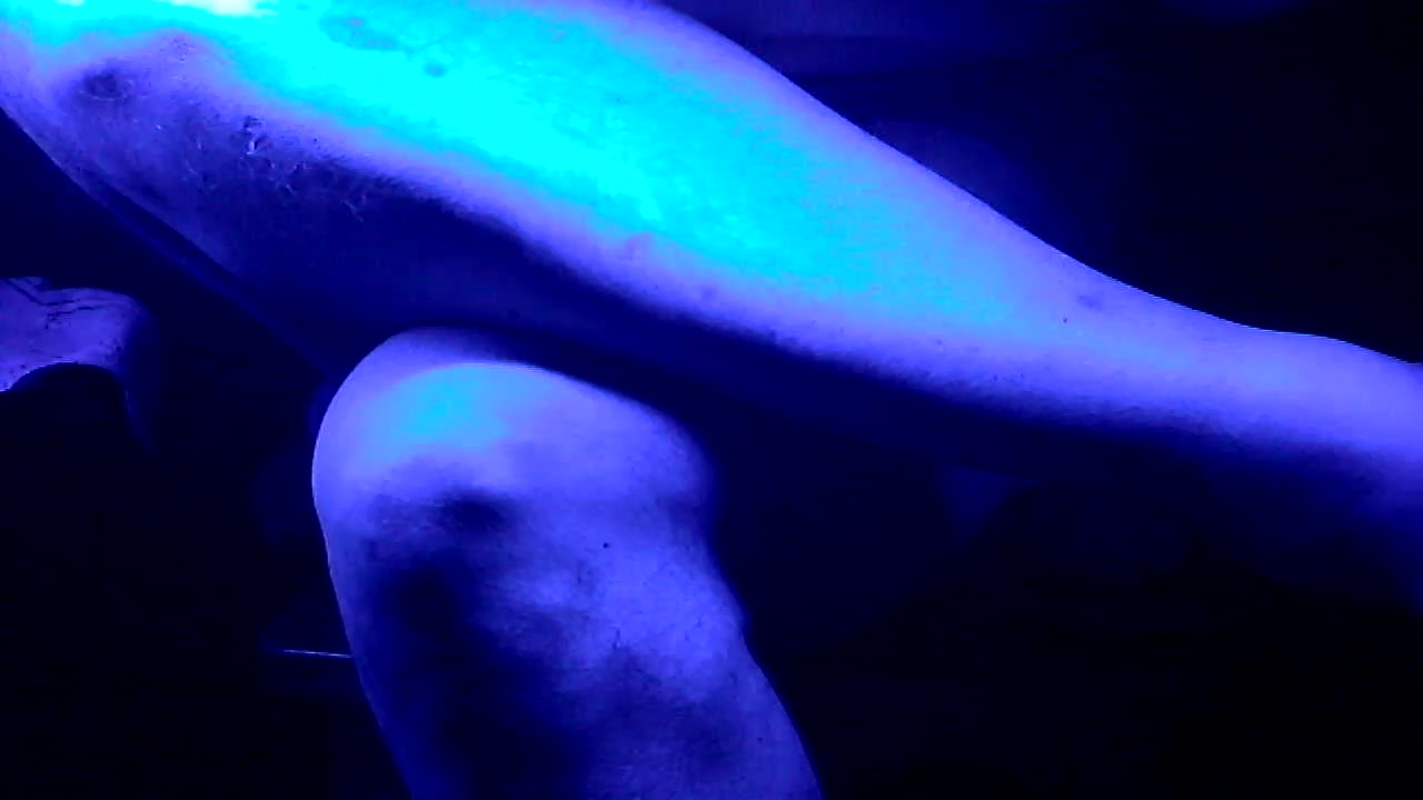 junkatsu Live Cam Screenshot – 2025-10-13 03:47:12