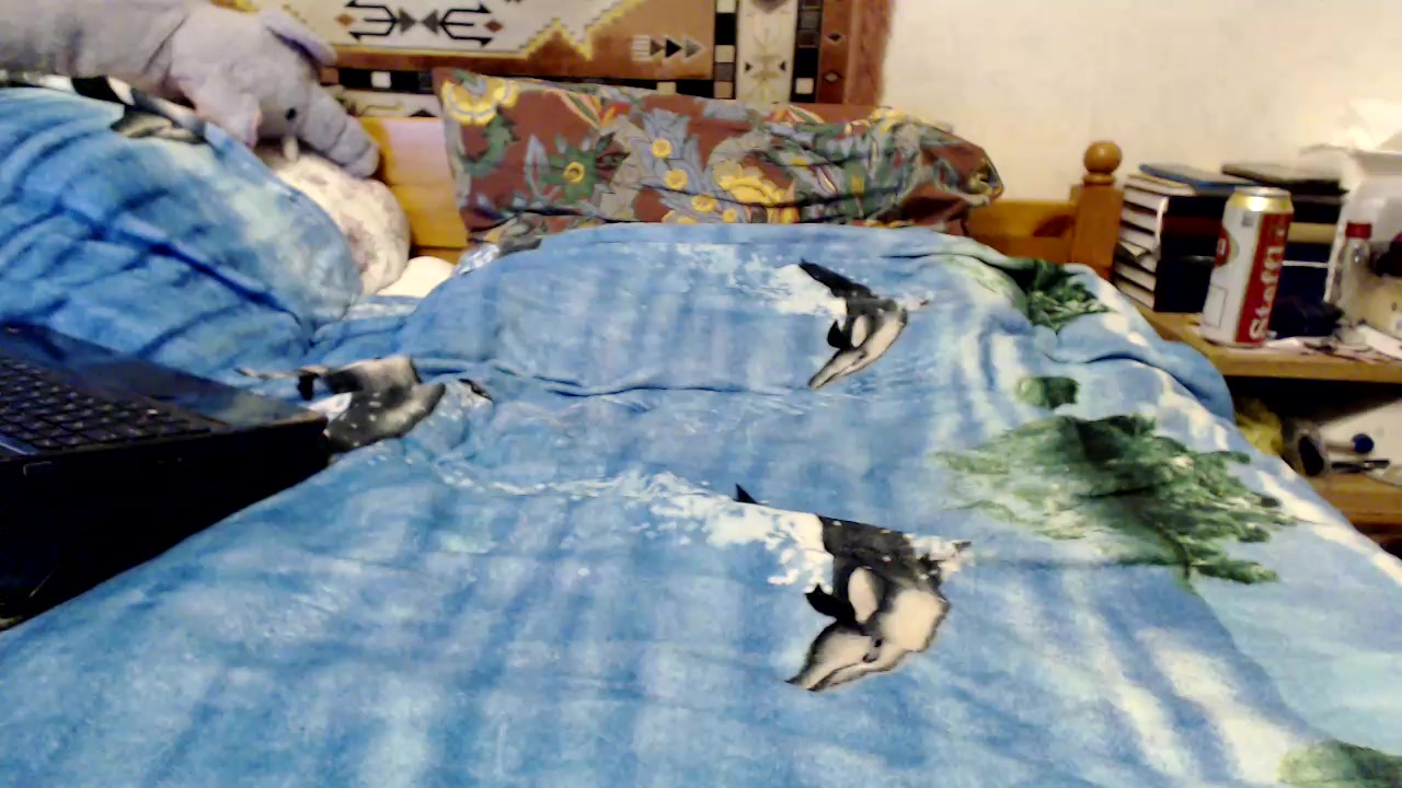 kg6969 Live Cam Screenshot – 2025-08-04 20:17:19