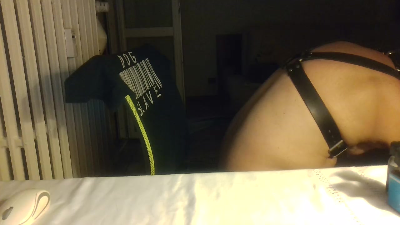 klausdog Live Cam Screenshot – 2025-08-04 20:19:04
