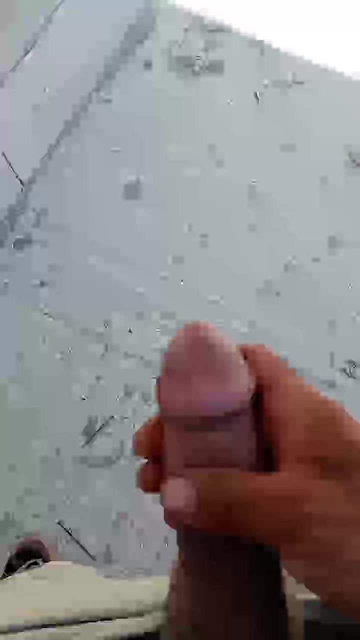 laur_geo1 Live Cam Screenshot – 2025-08-08 12:06:12