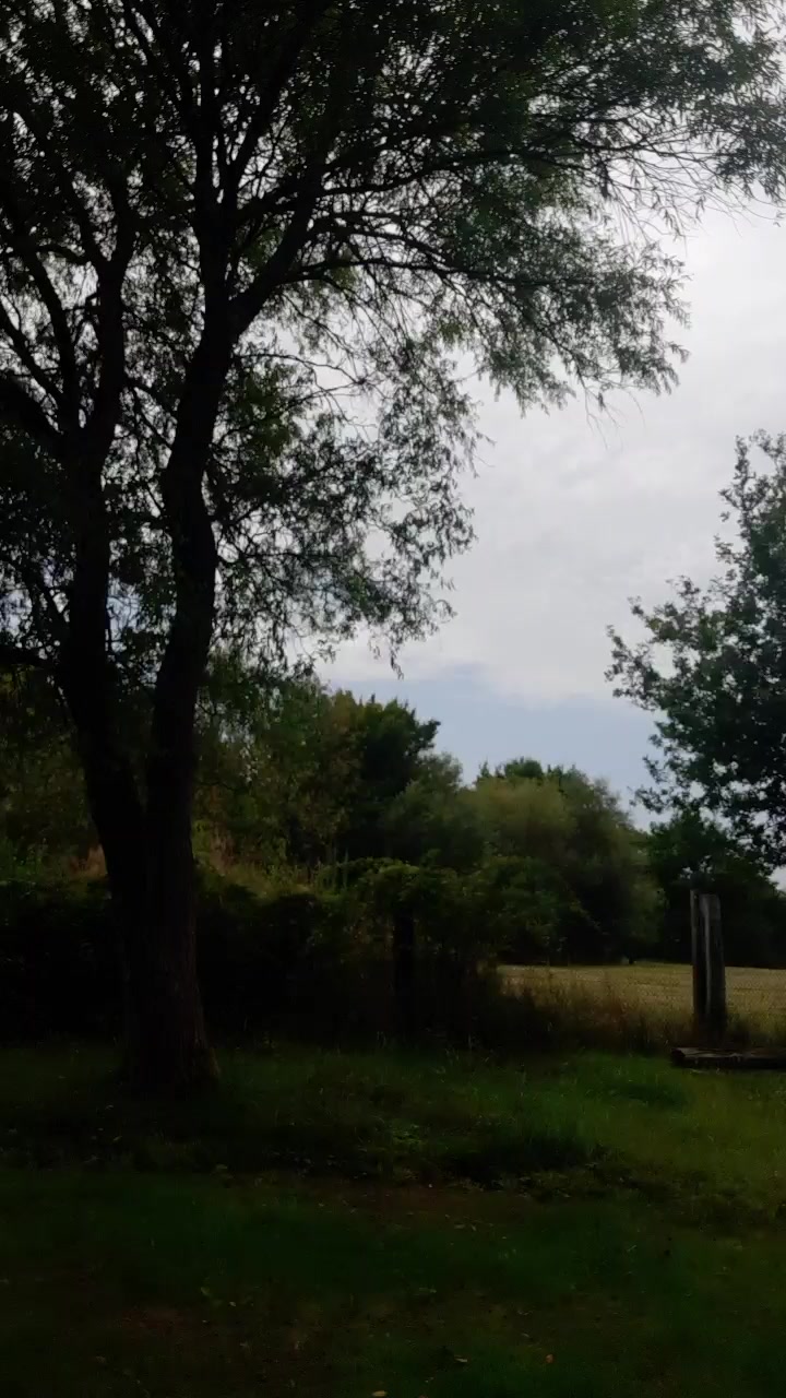 lustvoll Live Cam Screenshot – 2025-08-14 13:11:43
