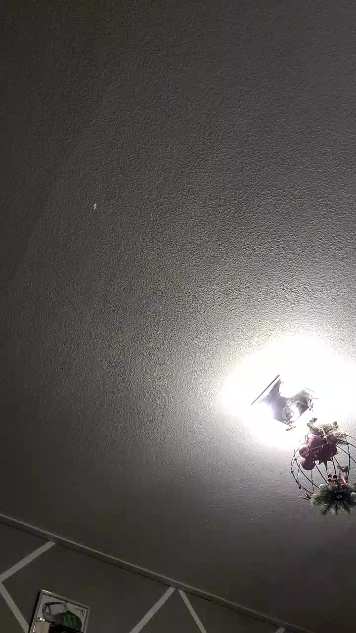markus1254 Live Cam Screenshot – 2025-08-04 22:58:44