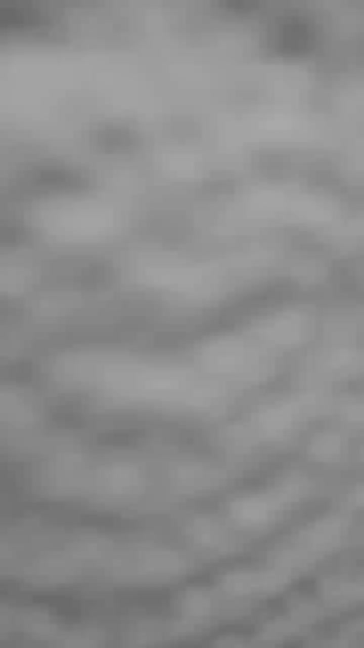 metavexia Live Cam Screenshot – 2025-08-17 20:06:03