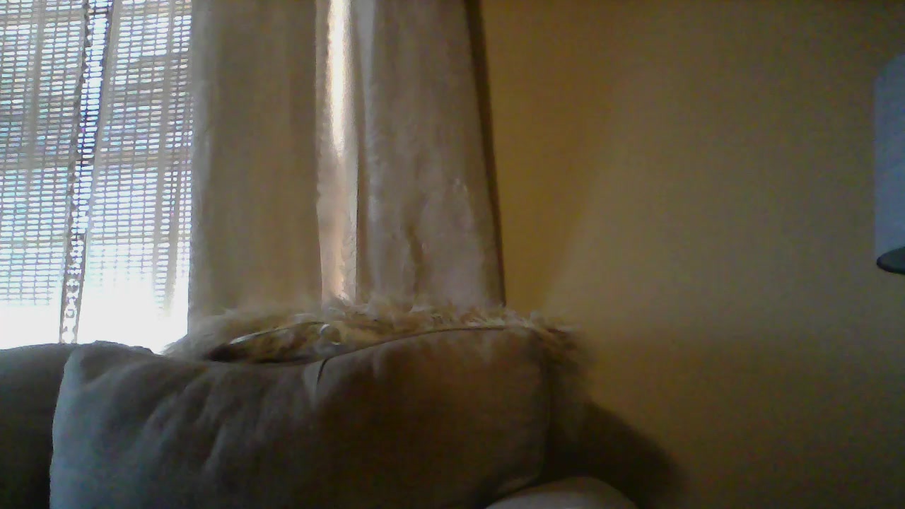 old_kurkster Live Cam Screenshot – 2025-08-07 16:56:52