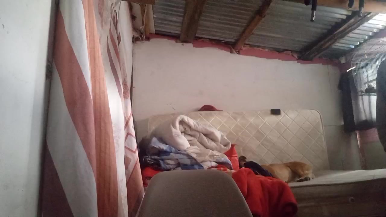 paranoidandroi5 Live Cam Screenshot – 2025-08-31 20:26:58
