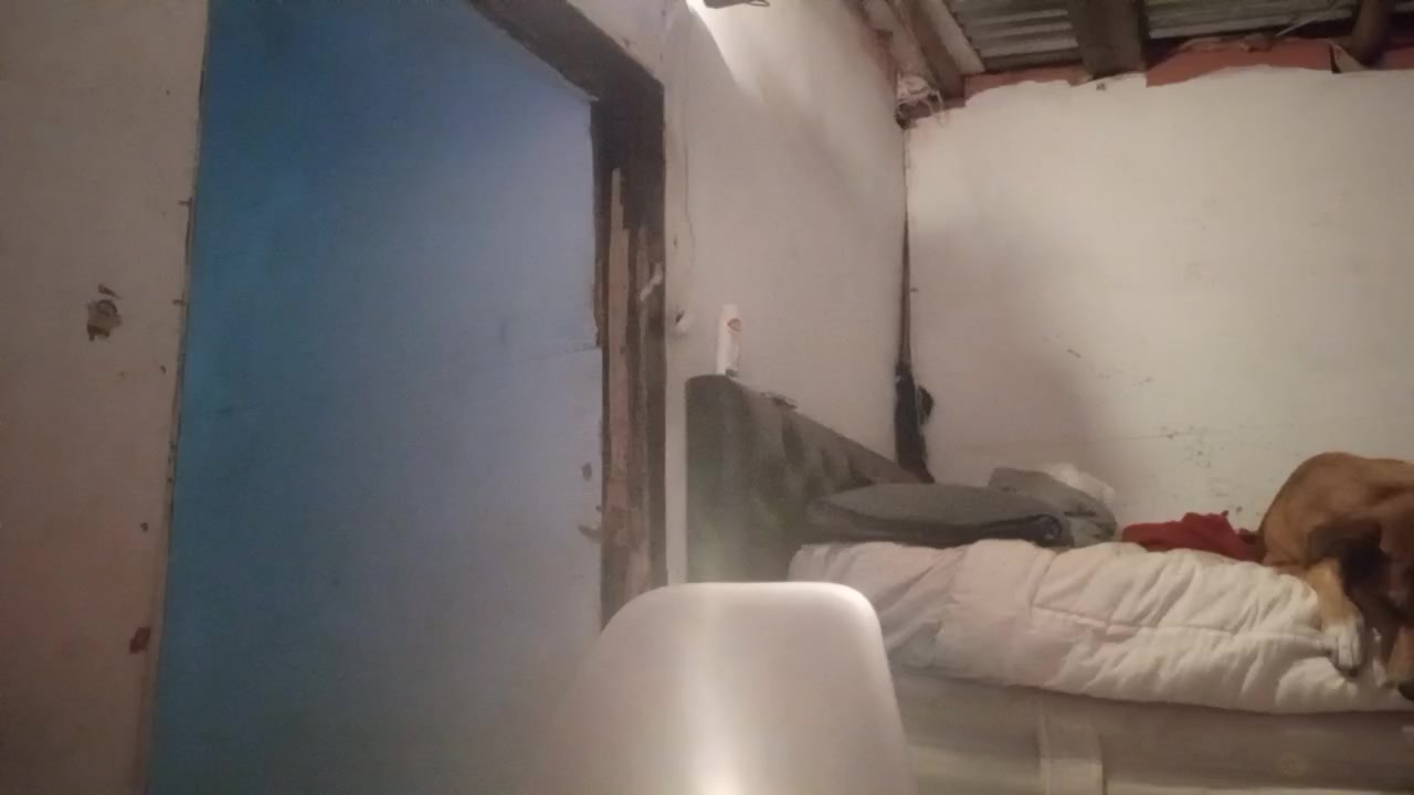 paranoidandroi5 Live Cam Screenshot – 2025-09-02 01:23:24