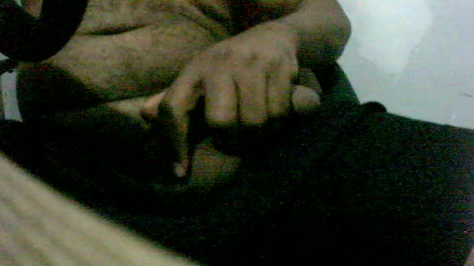 passarinho1 Live Cam Screenshot – 2025-08-06 01:30:27