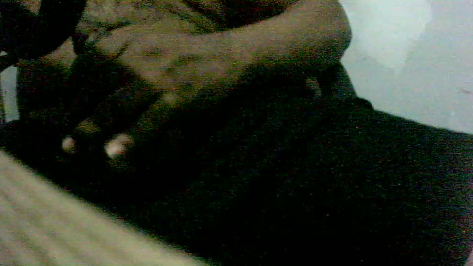 passarinho1 Live Cam Screenshot – 2025-08-06 01:45:32
