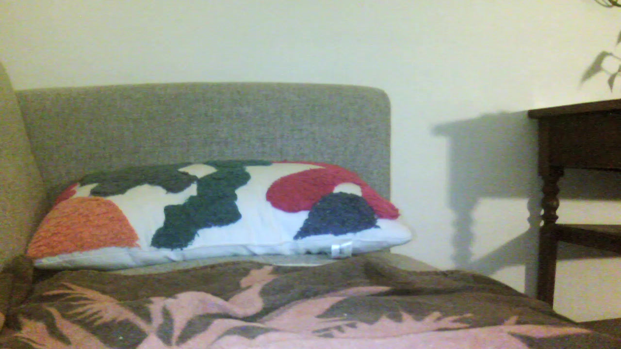 patrora Live Cam Screenshot – 2025-08-04 02:17:48