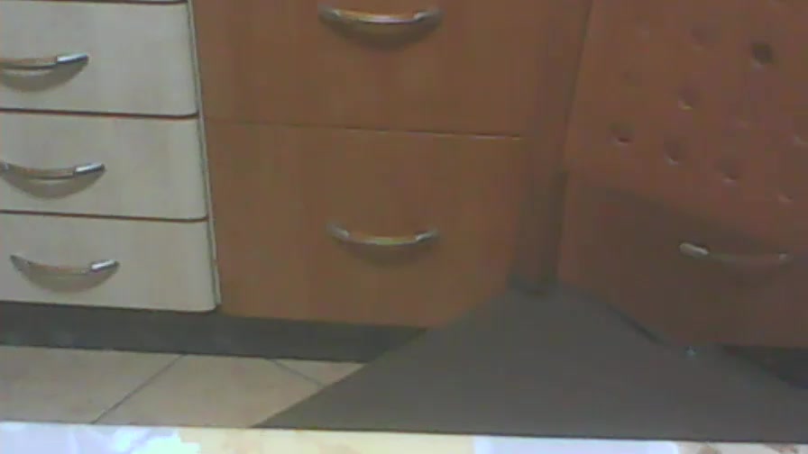 perrako_cerd Live Cam Screenshot – 2025-08-05 23:31:33
