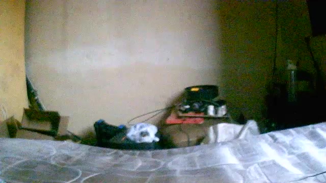 praia_grande Live Cam Screenshot – 2025-08-08 15:04:09