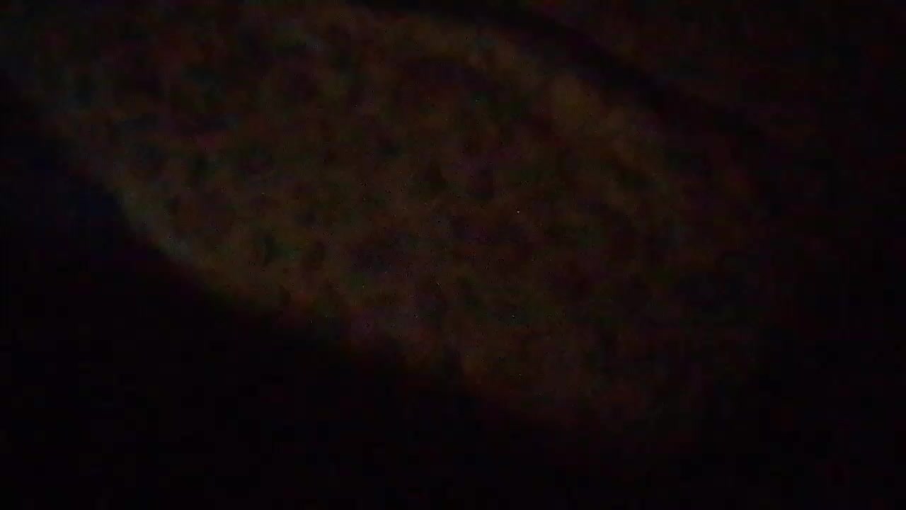 pulpsideb Live Cam Screenshot – 2025-08-07 10:16:51