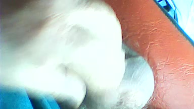 querorosca Live Cam Screenshot – 2025-08-31 21:06:31